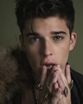 Picture of Sean O'Donnell in General Pictures - sean-odonnel